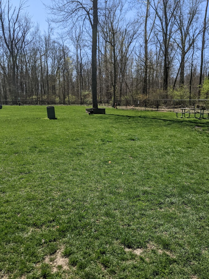 Four Paws Dog Park photo 2