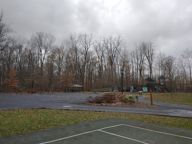 Four Paws Dog Park photo 3