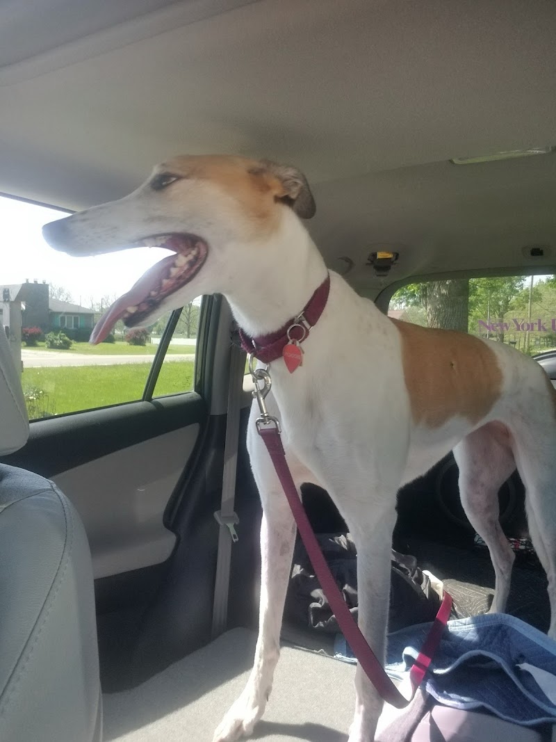 Pendleton Veterinary Clinic photo 2