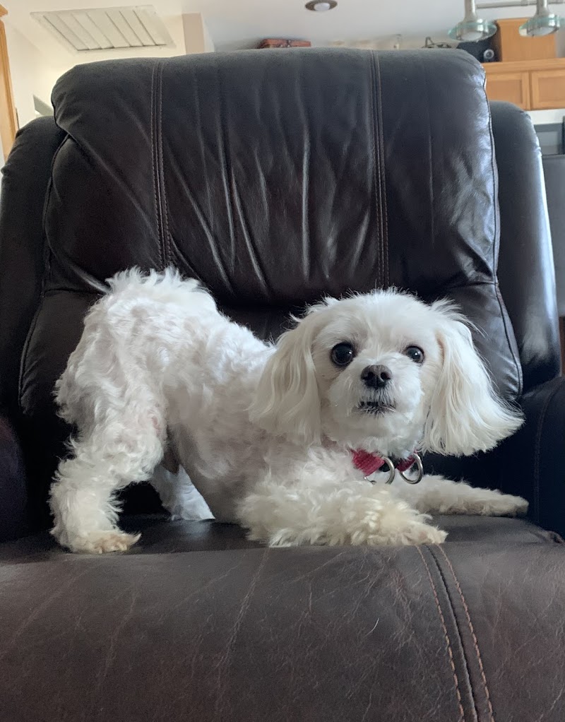 Pendleton Veterinary Clinic photo 3