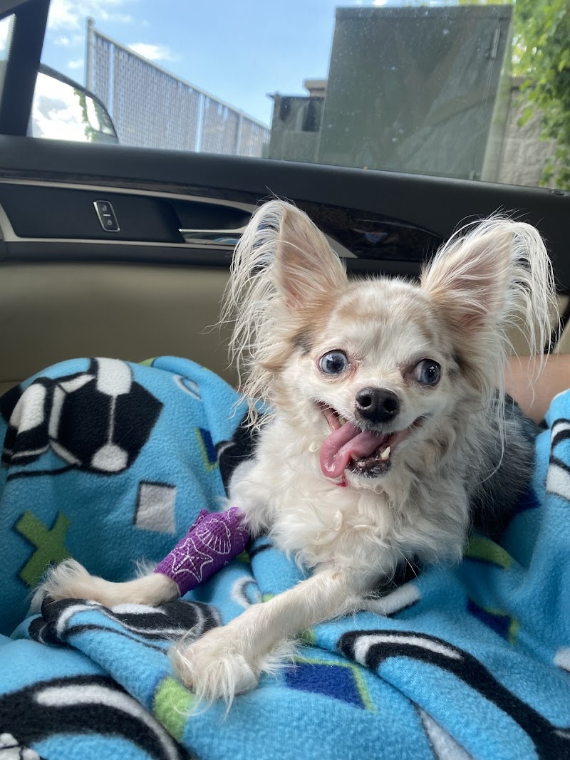 Scenic Hills Animal Hospital photo 3