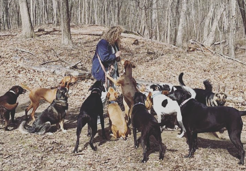 Tails N’ Trails Pets photo 3