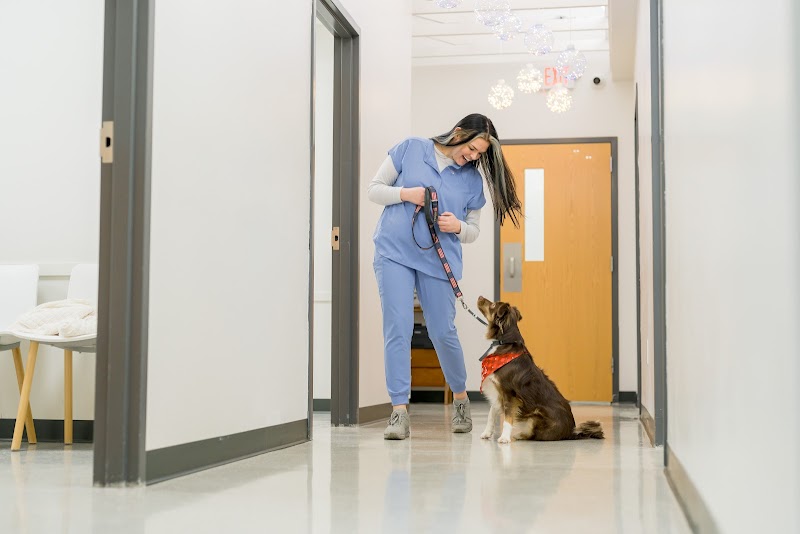 Westown Veterinary Clinic