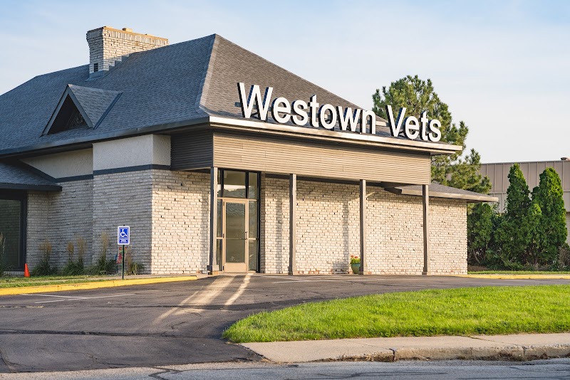 Westown Veterinary Clinic photo 2