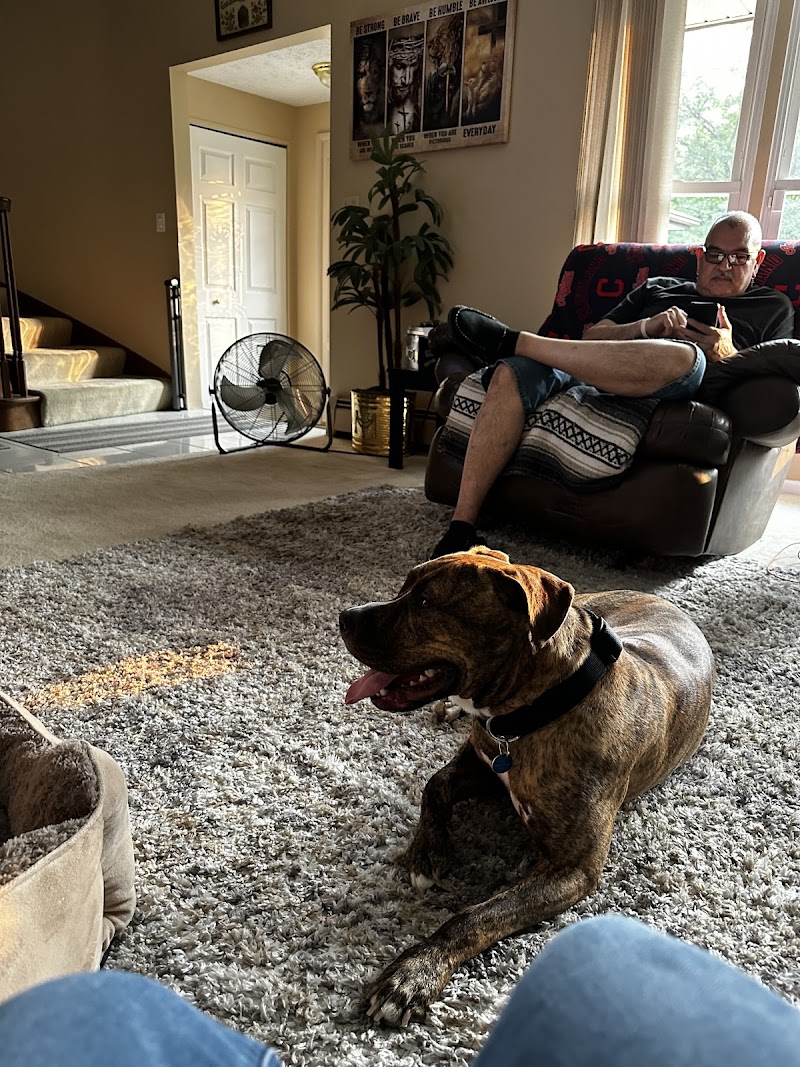 City Dogs - Cleveland photo 3