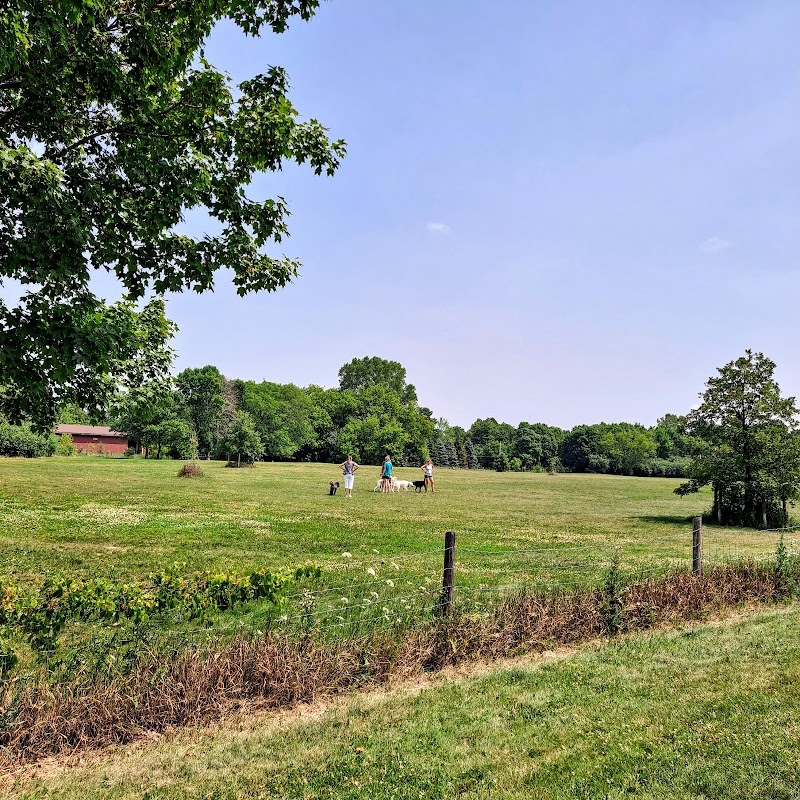 Nashotah Park Dog Exercise Area photo 2