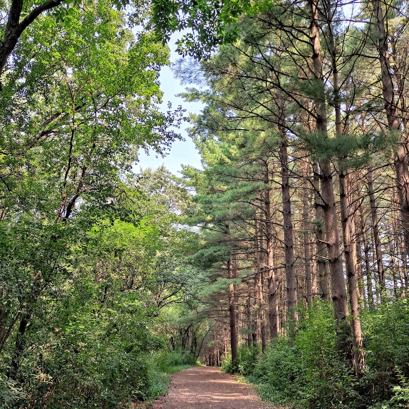 Nashotah Park Dog Exercise Area photo 3