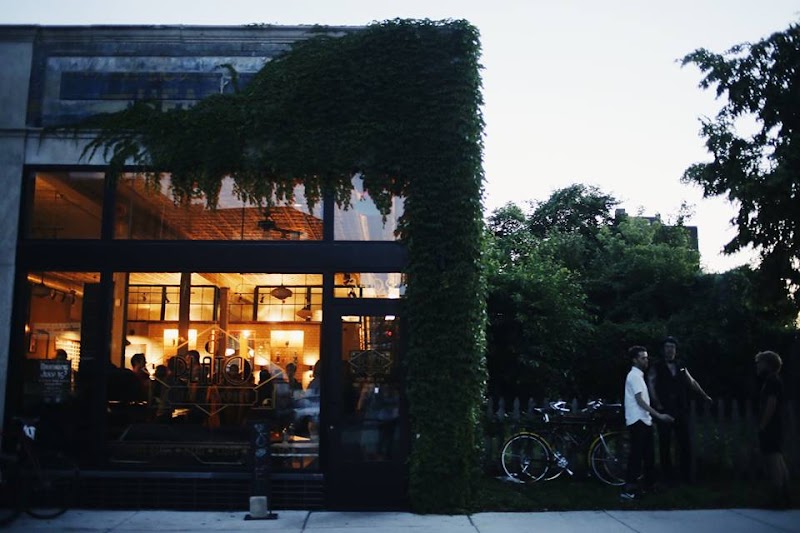 8 Degrees Plato photo 2