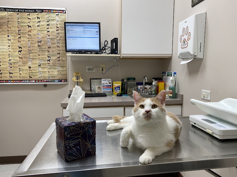 Randall Oaks Animal Hospital