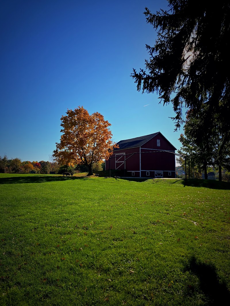 Keyser Dog Park photo 3