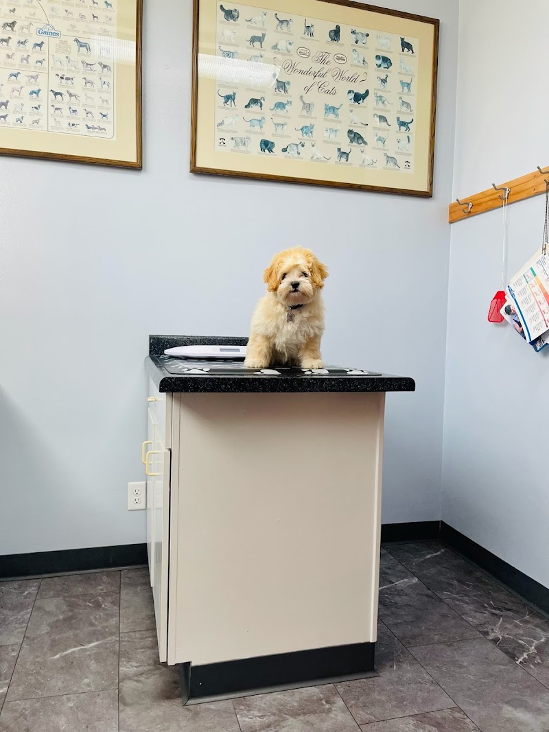 Milwaukee Animal Hospital