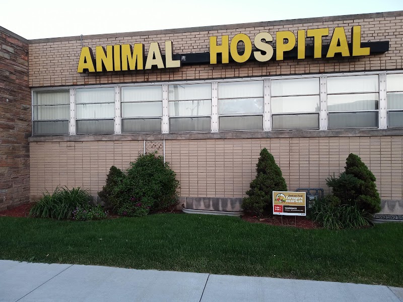 Milwaukee Animal Hospital photo 2
