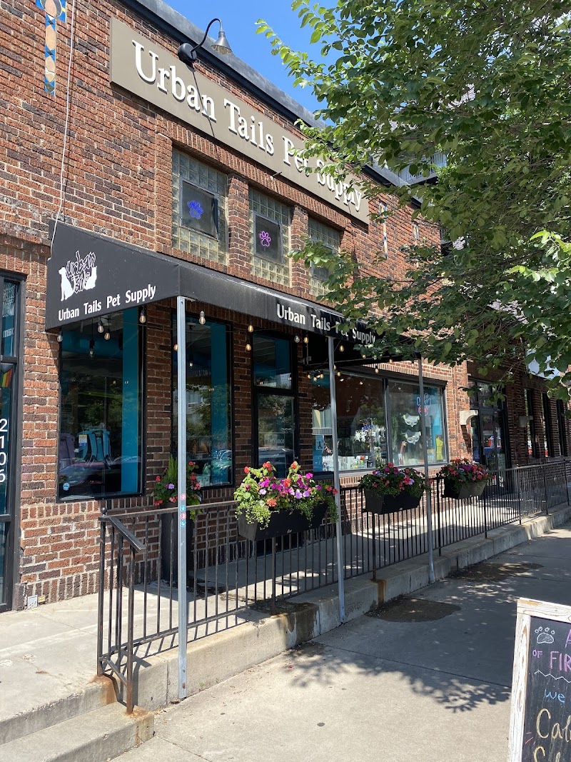 Urban Animal Kingdom