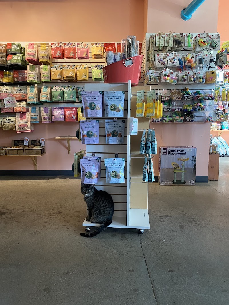 Urban Animal Kingdom photo 2