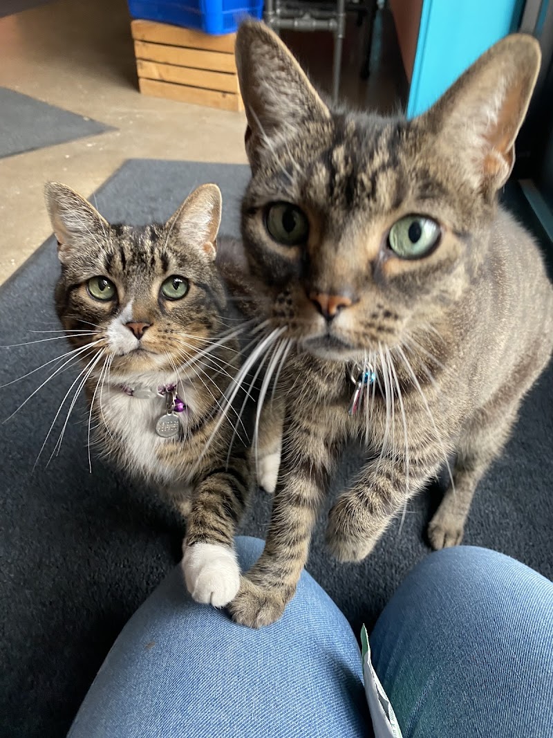 Urban Animal Kingdom photo 3