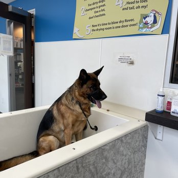 Community Bark Dog Wash & Groom photo 2