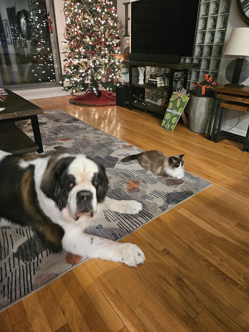 Veterinary Dental Center photo 2