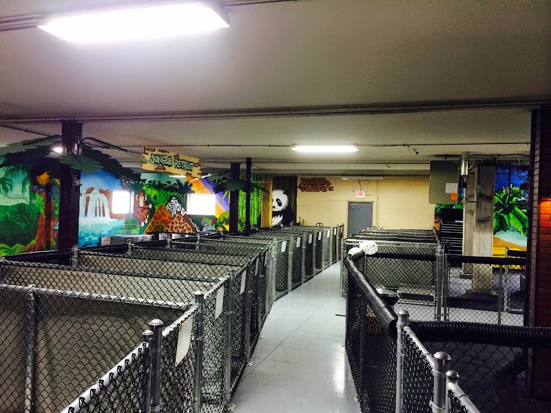 Happy Dogs MKE photo 2