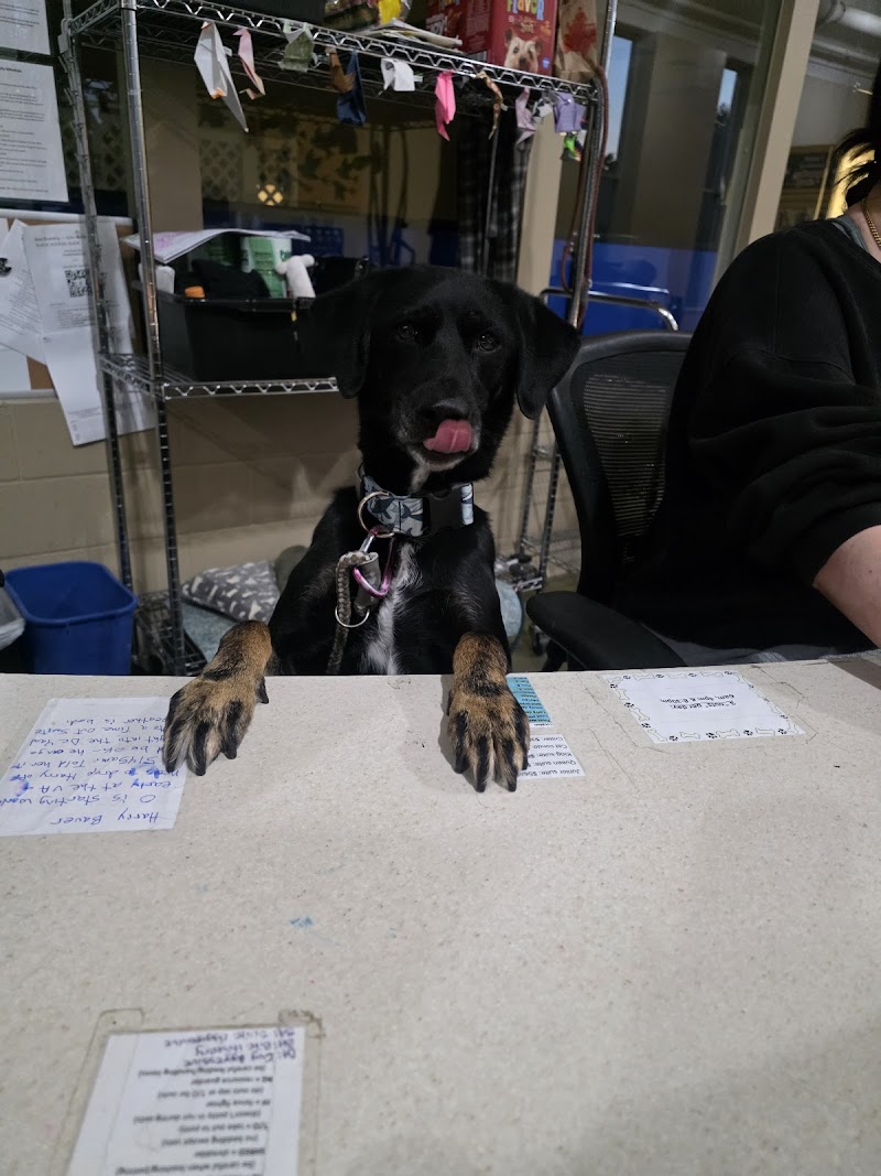 Now Boarding photo 2