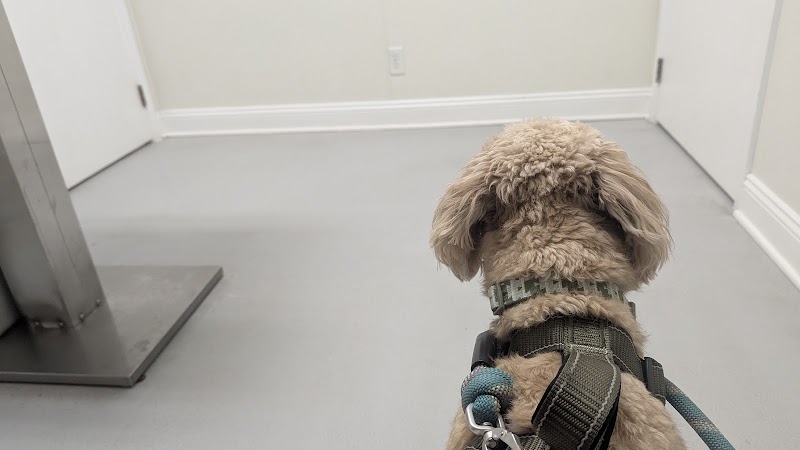 Chesterfield Animal Hospital photo 2