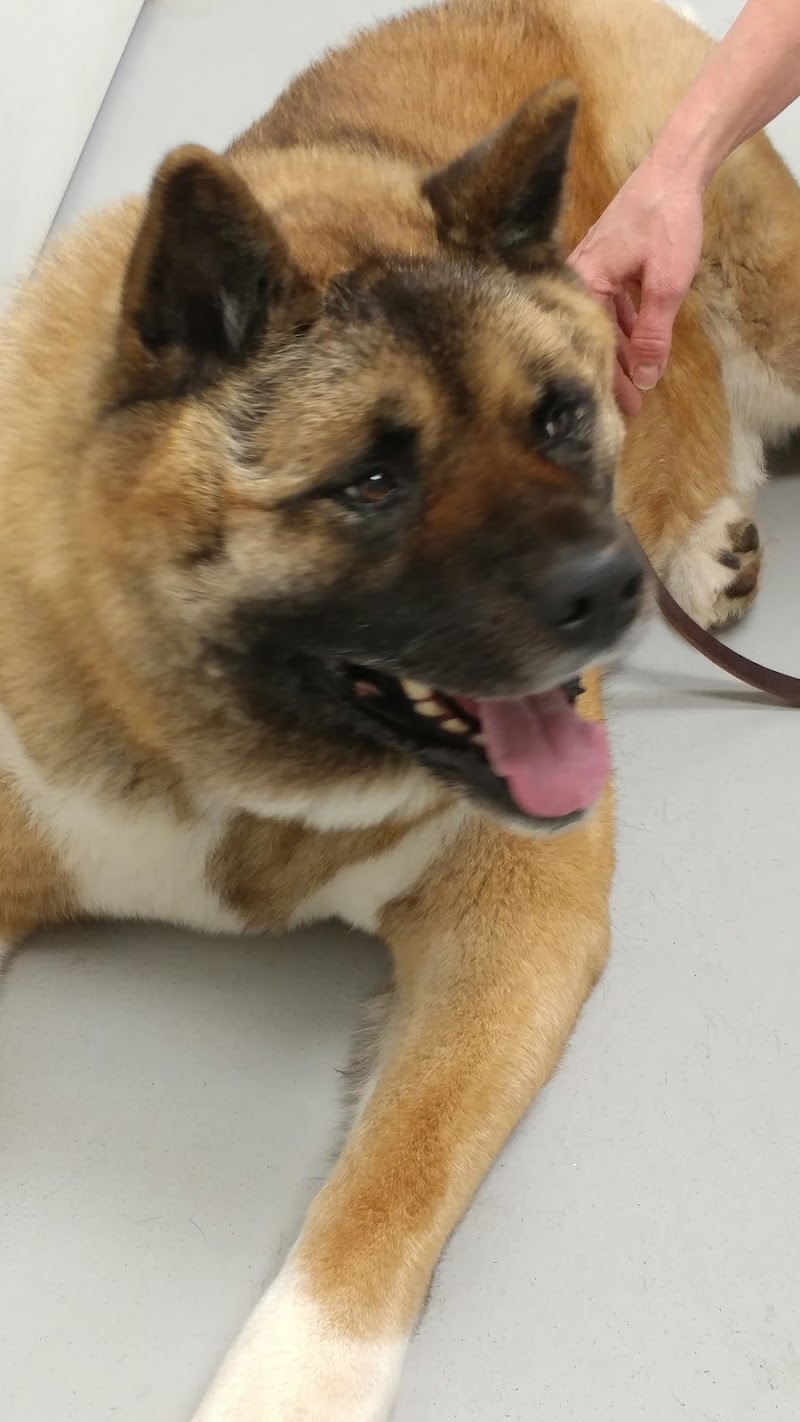 Chesterfield Animal Hospital photo 3