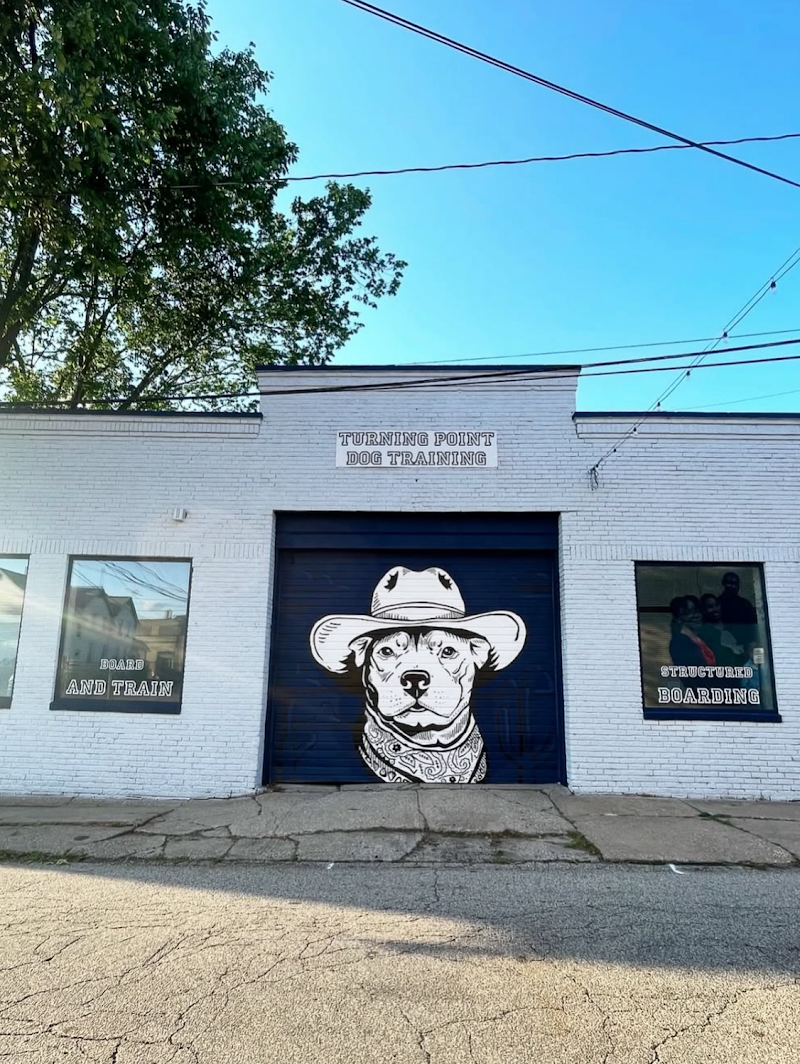 Turning Point Dog Training photo 2