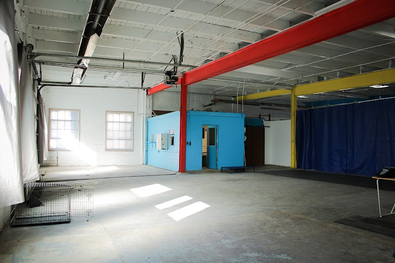 Turning Point Dog Training photo 3