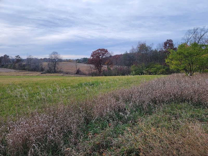 K9 Country Club photo 3