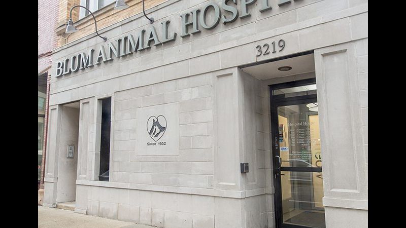 VCA Blum Animal Hospital