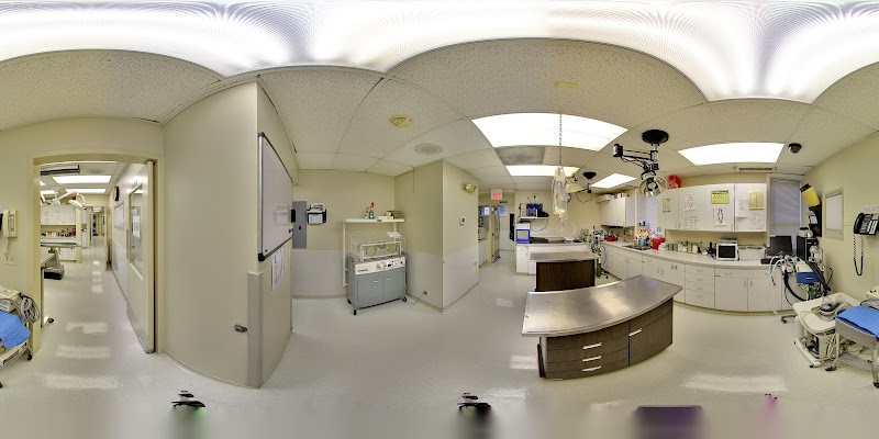 VCA Blum Animal Hospital photo 2