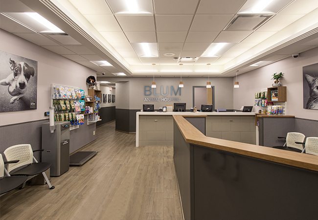 VCA Blum Animal Hospital photo 3