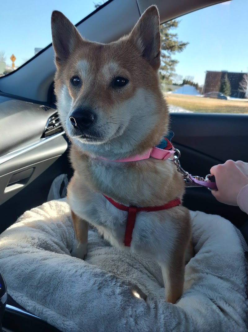 Midwest Animal Rescue Service