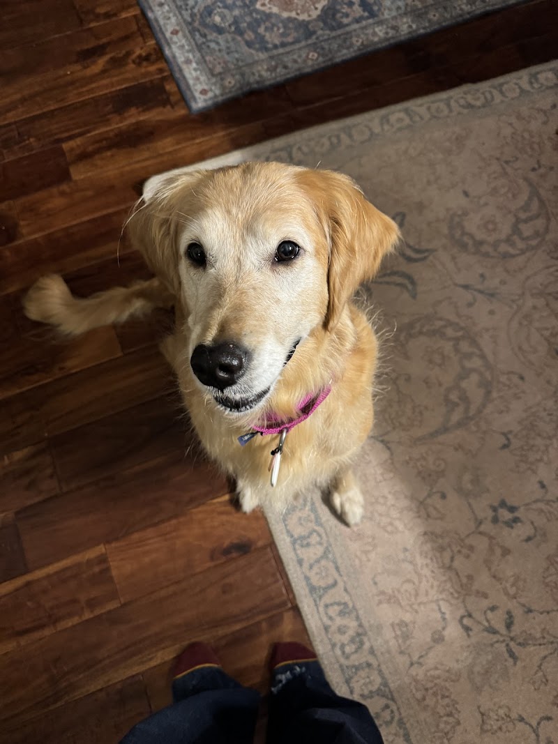 Partners and Paws Veterinary Services photo 2