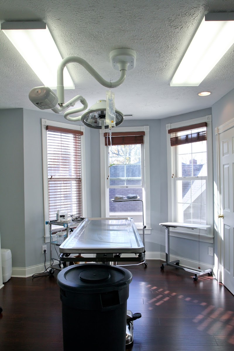 Cottage Animal Clinic of Carmel photo 3