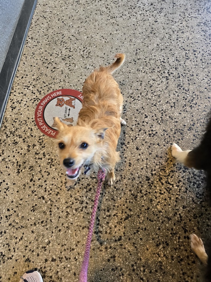 Layton Animal Hospital photo 2