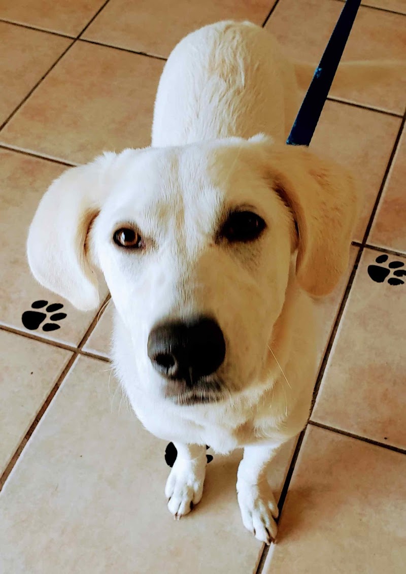 Bayshore Veterinary Clinic