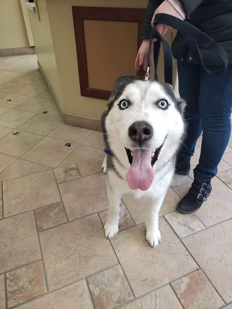 Bayshore Veterinary Clinic photo 2