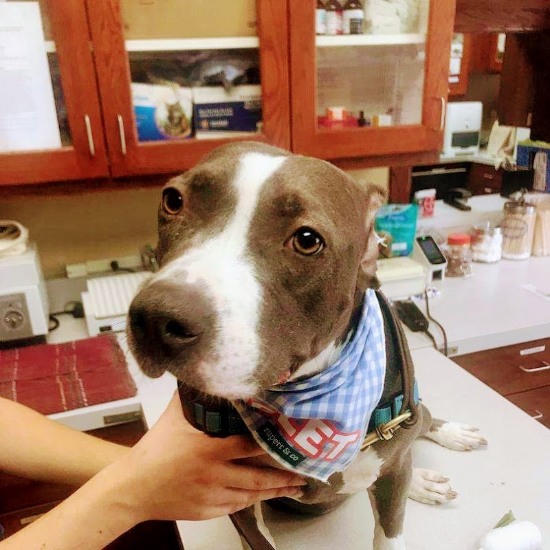 Bayshore Veterinary Clinic photo 3