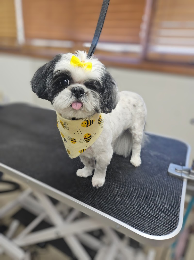 Pierson Pet Hospital