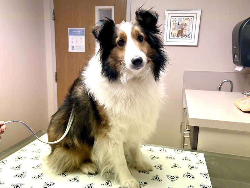 Pierson Pet Hospital photo 2