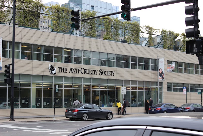 The Anti-Cruelty Society photo 2