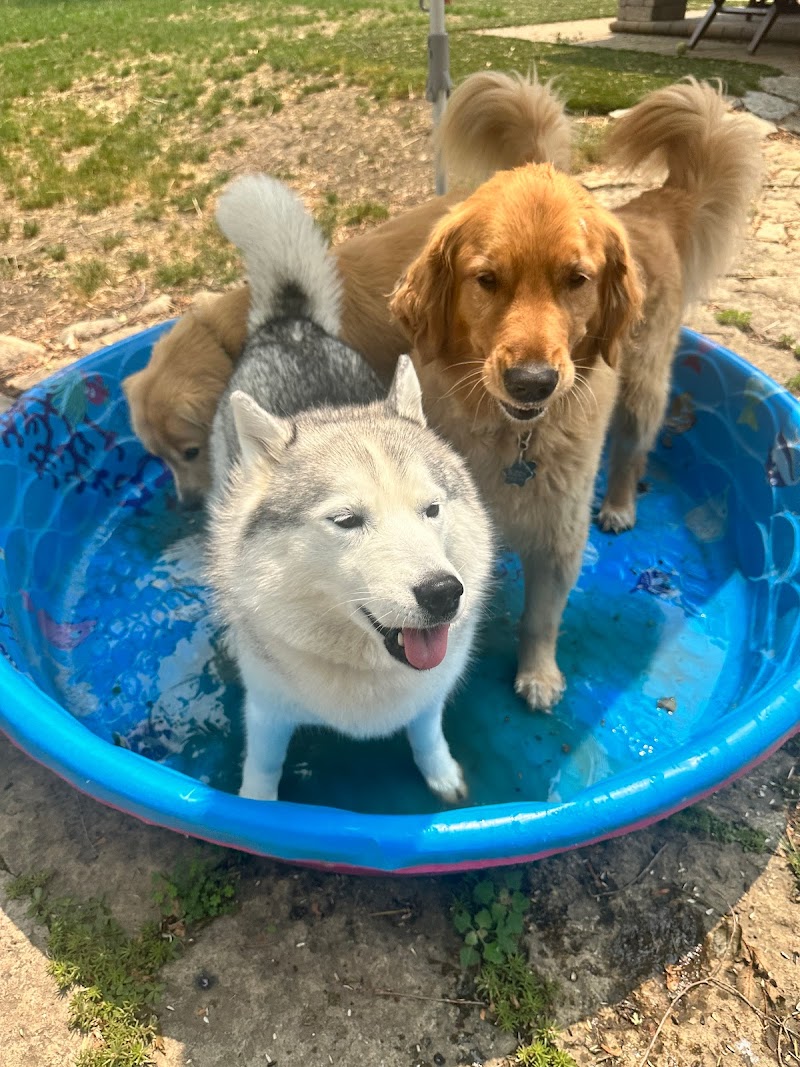 4 Legs and a Leash, Inc.