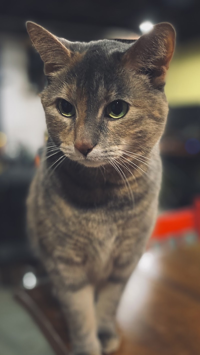 Small Animal Hospital