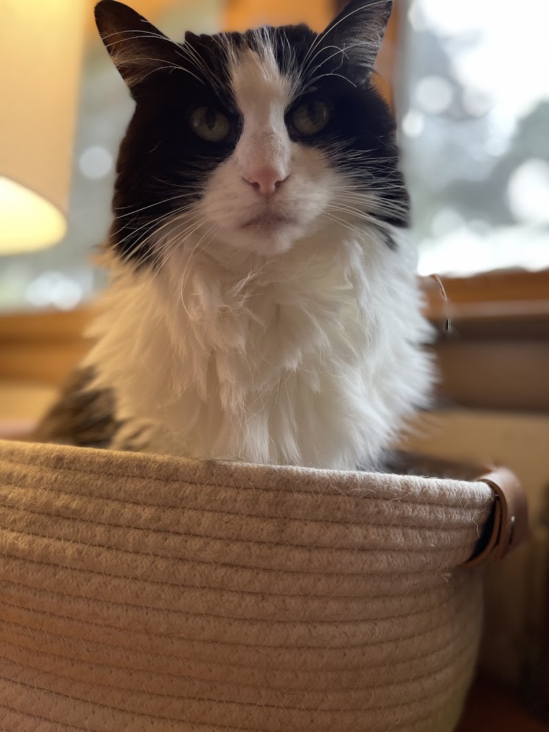 Small Animal Hospital photo 2