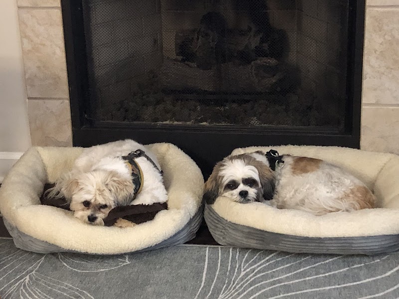 Small Animal Hospital photo 3