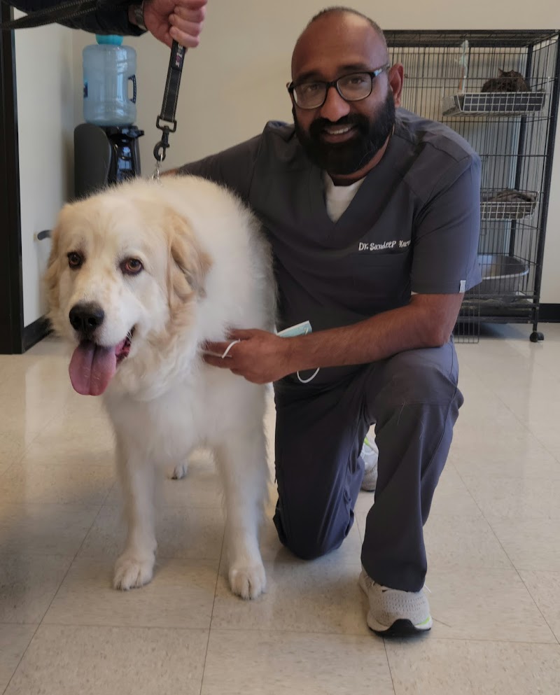 Care Animal Clinic photo 2