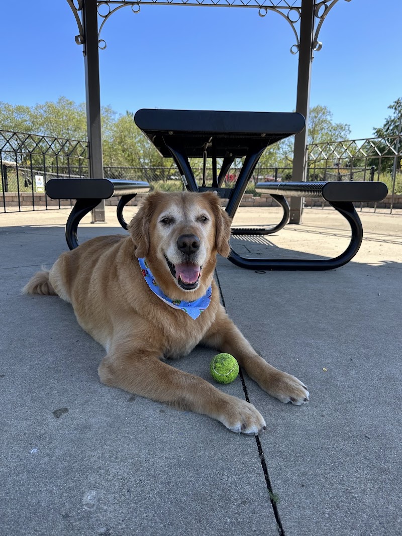 Pawparazzi Pet Salon photo 2