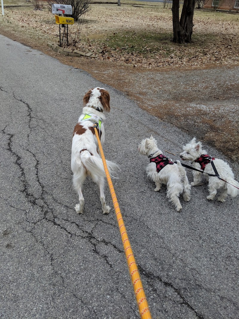 Northside Pet Services photo 2