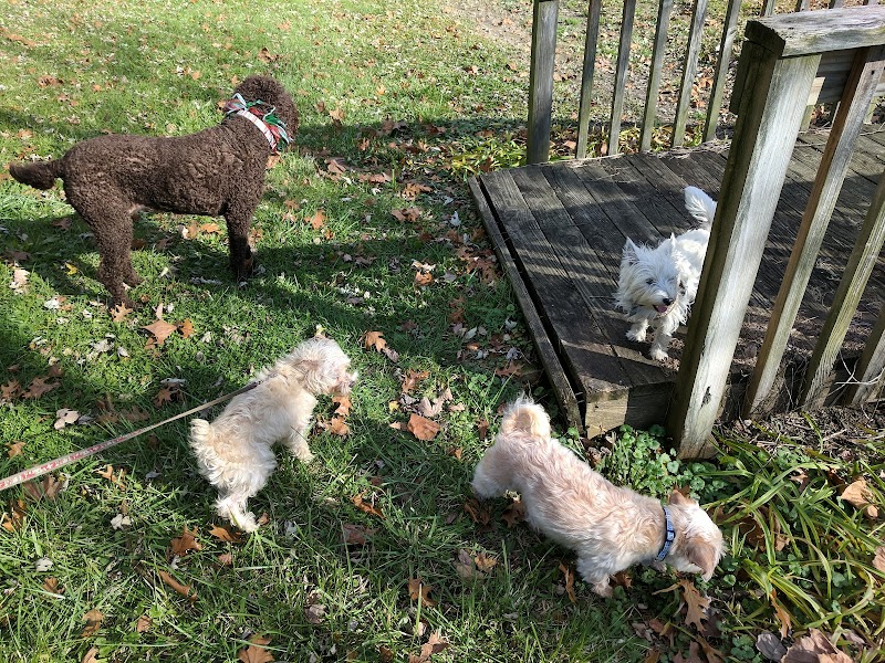 Northside Pet Services photo 3