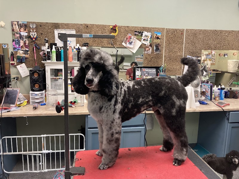 Bark A Lounge Pet Salon